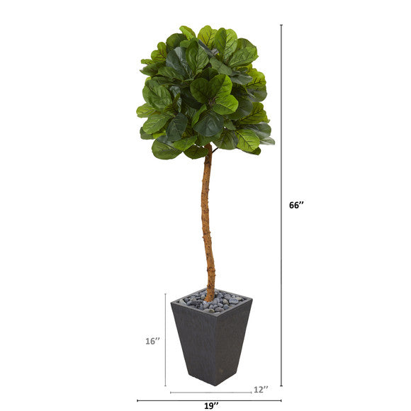 5.5' Fiddle Leaf Artificial Tree in Slate Planter (Real Touch)