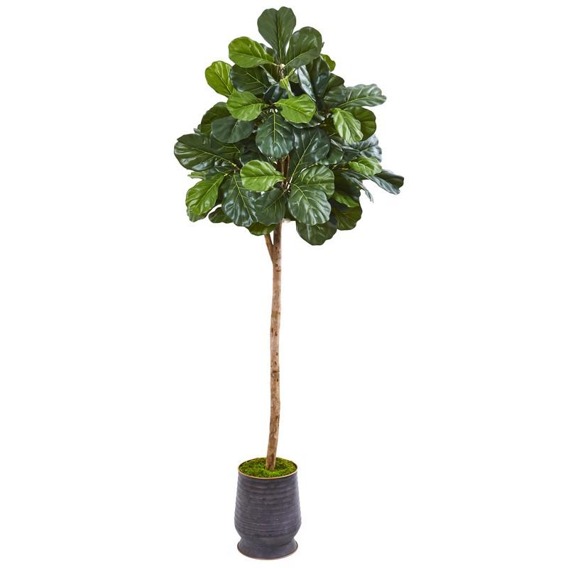 80"  Fiddle Leaf Fig Artificial tree in Ribbed Metal Planter