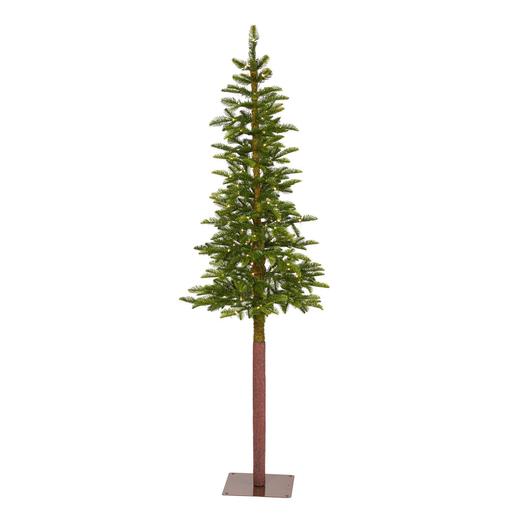 6' Alaskan Alpine Artificial Christmas Tree with 100 Clear Microdot