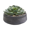 Giant Echeveria Succulent Artificial Plant