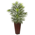 Areca Palm in Bamboo Planter