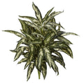 30" Aglonema Artificial Plant (Set of 3)