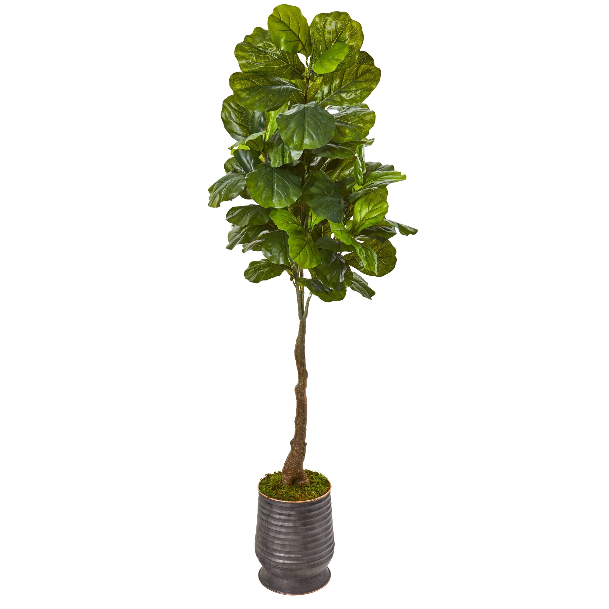 69"  Fiddle Leaf Artificial Tree in Ribbed Metal Planter (Real Touch)