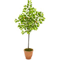 67" Lemon Artificial Tree in Terra-Cotta Planter