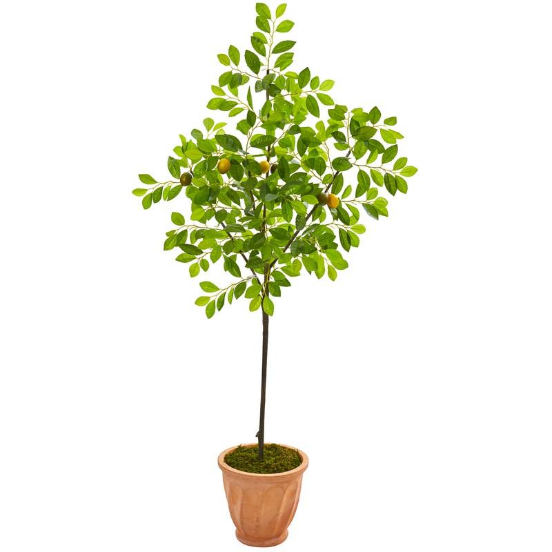67" Lemon Artificial Tree in Terra-Cotta Planter