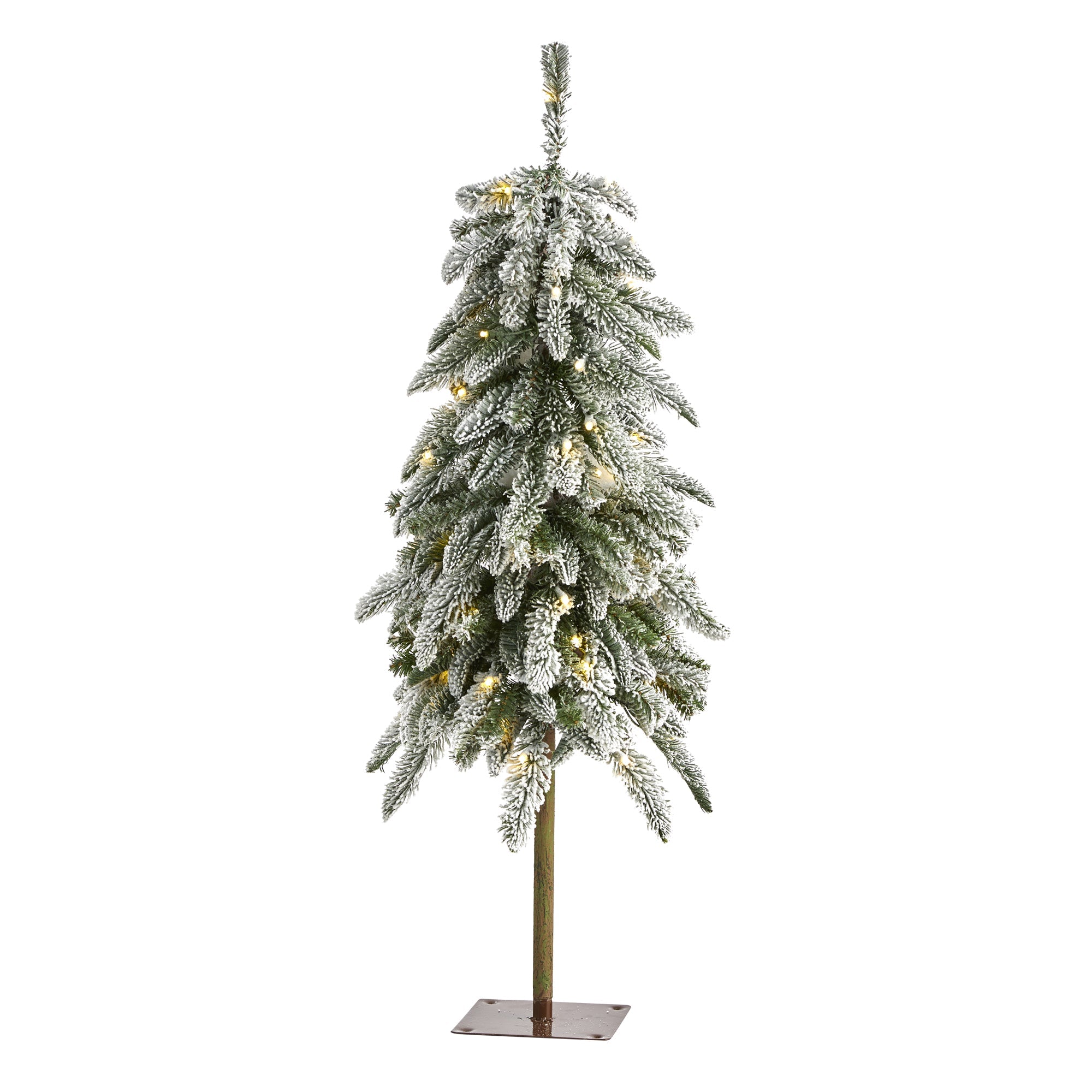 3.5' Flocked Washington Alpine Christmas Tree with 50 White Warm LED lights