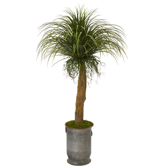 64" Pony Tail Palm Artificial Plant in Copper Trimmed Metal Planter