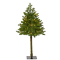 3' Swiss Alpine Artificial Christmas Tree w/ 50 Clear LED Lights