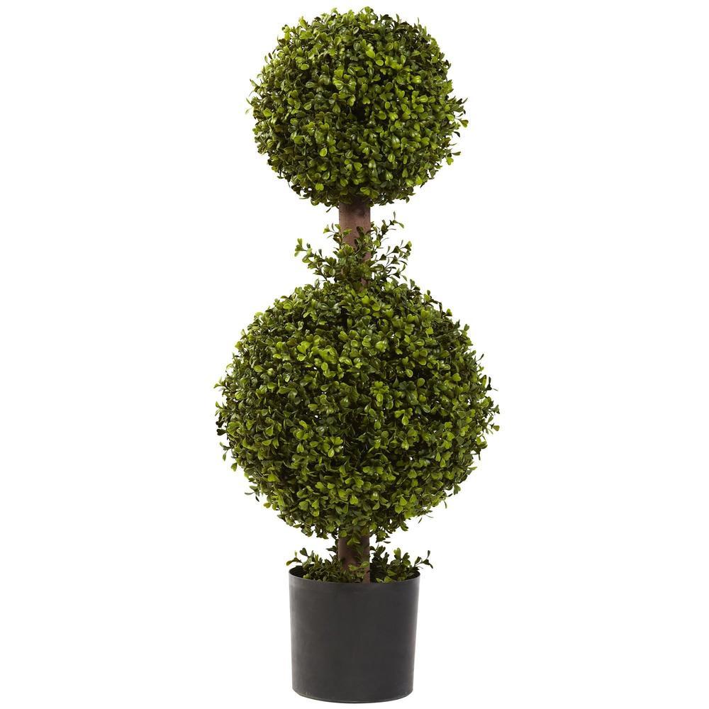 35' Double Boxwood Topiary