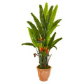 56"  Bird of Paradise Artificial Plant in Terra-Cotta Planter