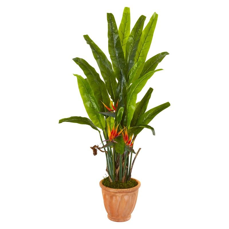 56"  Bird of Paradise Artificial Plant in Terra-Cotta Planter