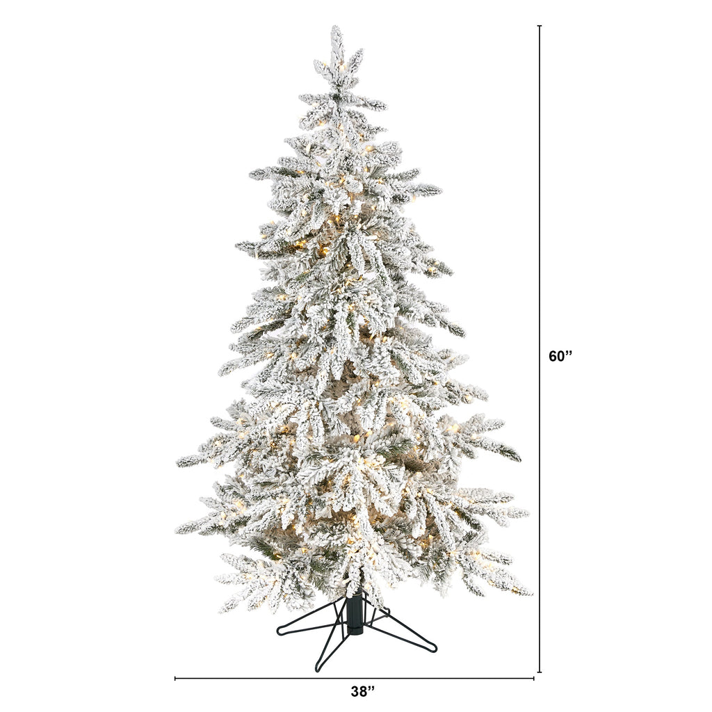 5' Flocked Gr& Northern Rocky Fir Artificial Christmas Tree