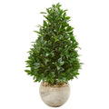 38"  Bay Leaf Cone Topiary Artificial Tree in Bowl Planter UV Resistant