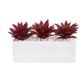 8" Triple Agave Succulent Artificial Plant in White Vase