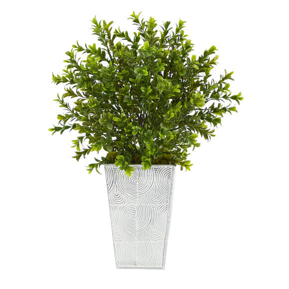 19" Boxwood Artificial Plant in Embossed White Planter