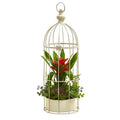 19"  Bromeliad & Succulent Artificial Arrangement in Bird Cage