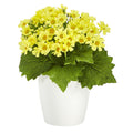 10" Daisy Artificial Plant in White Planter