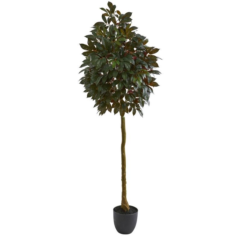 75"  Capensia Ficus Artificial Tree