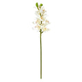 30"  Cymbidium Orchid Artificial Flower (Set of 6)