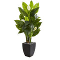 63"  Spathyfillum Artificial Plant in Black Planter (Real Touch)