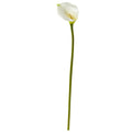 37" Calla Lily Artificial Flower (Set of 6)