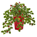 23"  Variegated Holly with Berries Artificial Plant in Red Planter (Real Touch)