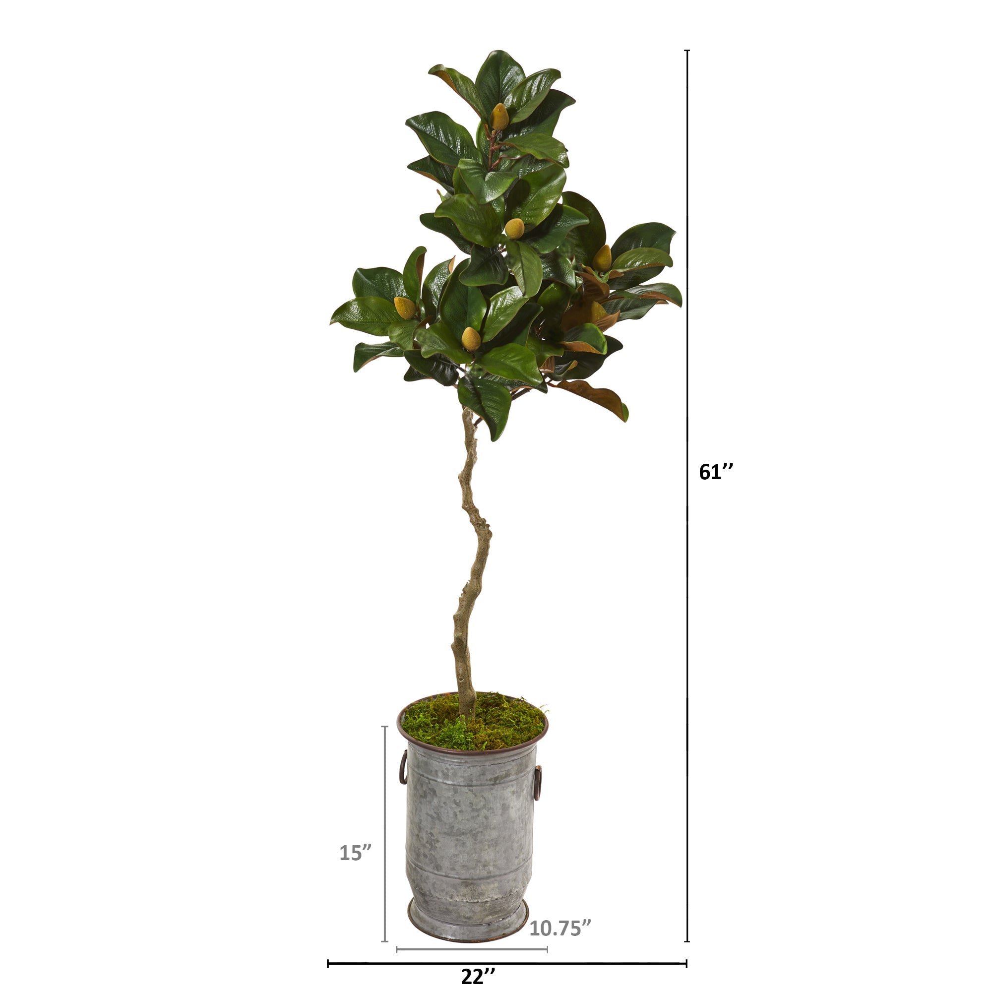 61" Magnolia Artificial Tree in Vintage Metal Planter