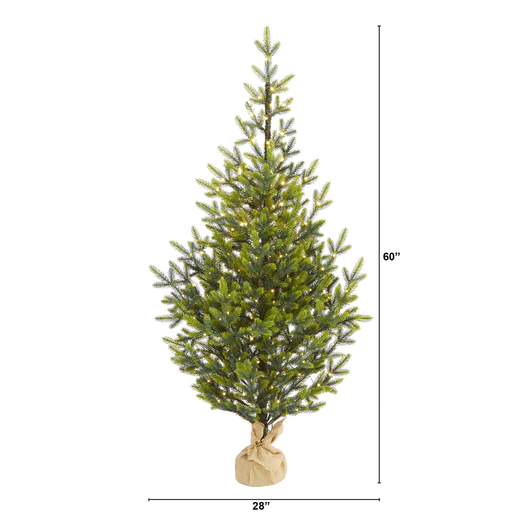 5' Fraser Fir "Natural Look" Artificial Christmas Tree w 200 Clear LED Lights