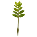 20"  Zamioculcas Artificial Flower Stem (Set of 12)