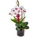 Orchid and Bromeliad in Glossy Black Cylinder