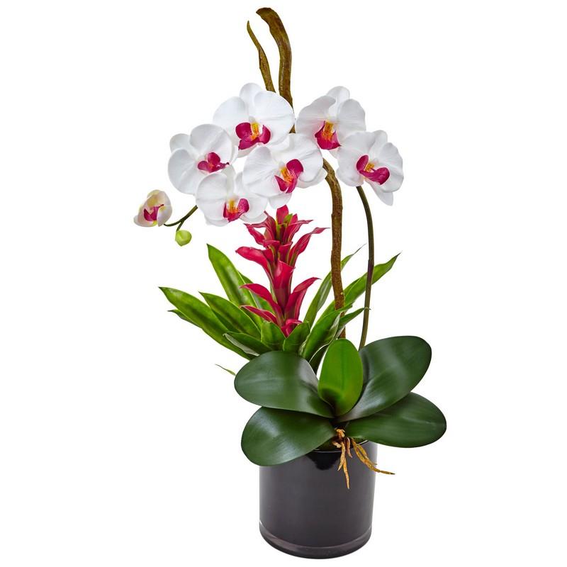 Orchid and Bromeliad in Glossy Black Cylinder