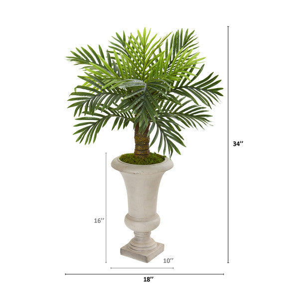 34" Robellini Palm Artificial Tree in Sand Colored Urn
