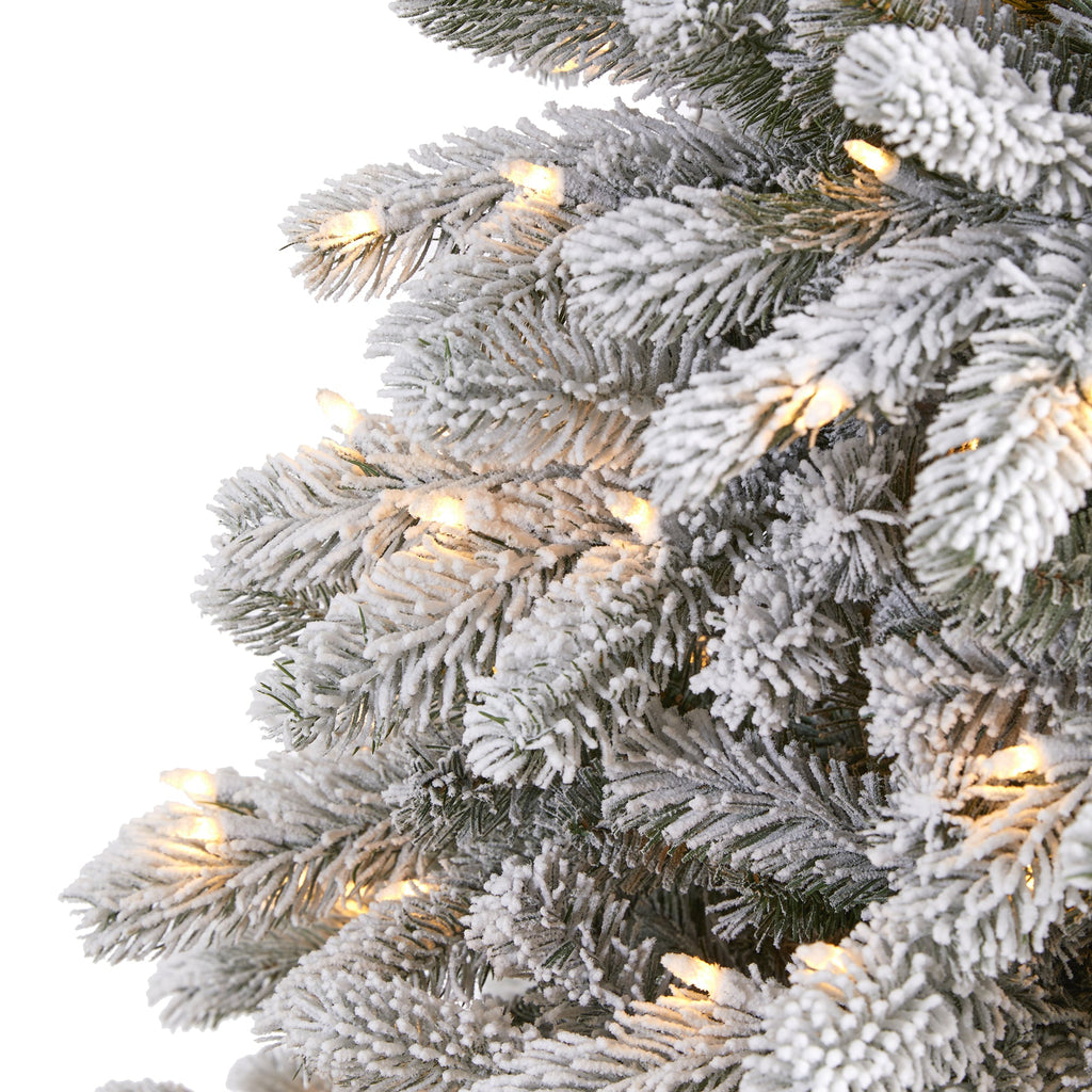 6' Flocked South Carolina Spruce Artificial Christmas Tree w 450 Clear Lights