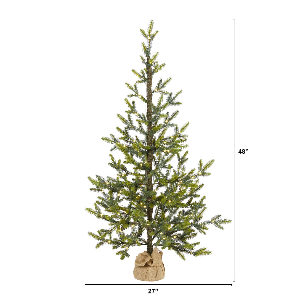 4' Fraser Fir 'Natural Look' Artificial Christmas Tree w/ 100 Clear LED Lights