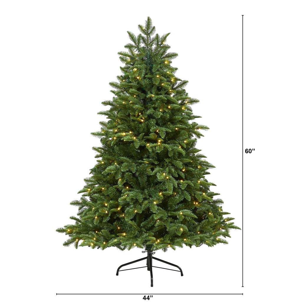 5' Wyoming Fir Artificial Christmas Tree with 250 Clear LED Lights
