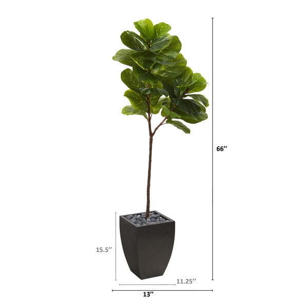5.5' Fiddle Leaf Artificial Tree in Black Planter (Real Touch)