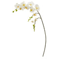43" Phalaenopsis Orchid Artificial Flower (Set of 6)