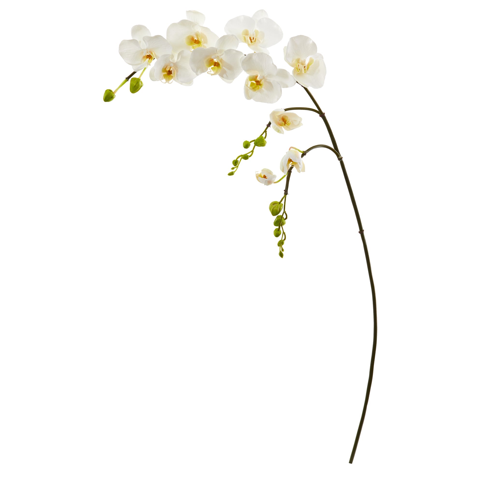 43" Phalaenopsis Orchid Artificial Flower (Set of 6)