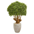 41"  Boxwood Artificial Topiary Tree in Sandstone Planter (Indoor/Outdoor)