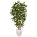 5' Bamboo Tree in Oval White Planter
