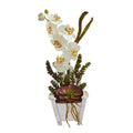 Phalaenopsis Orchid & Succulent Artificial Arrangement in Chair Planter