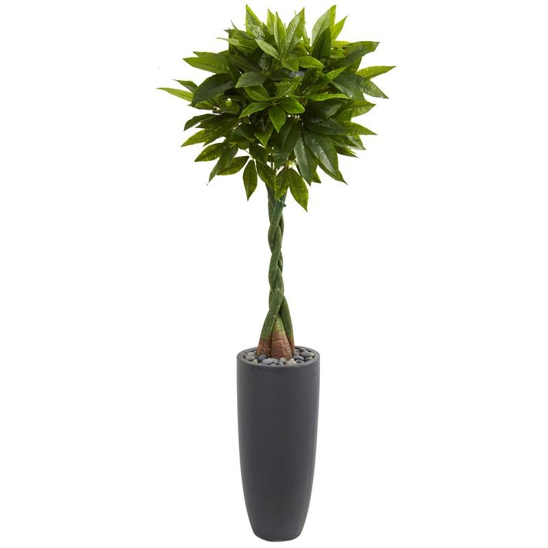 6' Money Artificial Tree in Gray Cylinder Planter (Real Touch)