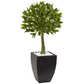 Bay Leaf Topiary With Black Wash Planter Uv Resistant (Indoor/Outdoor)