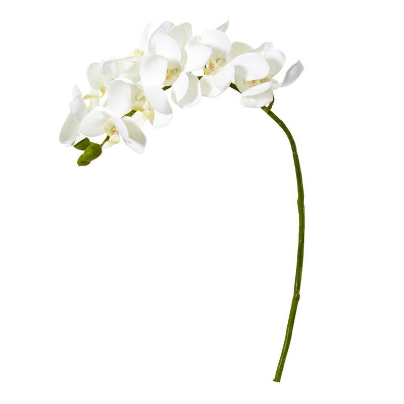21"  Phalaenopsis Orchid Artificial Flower (Set of 6)
