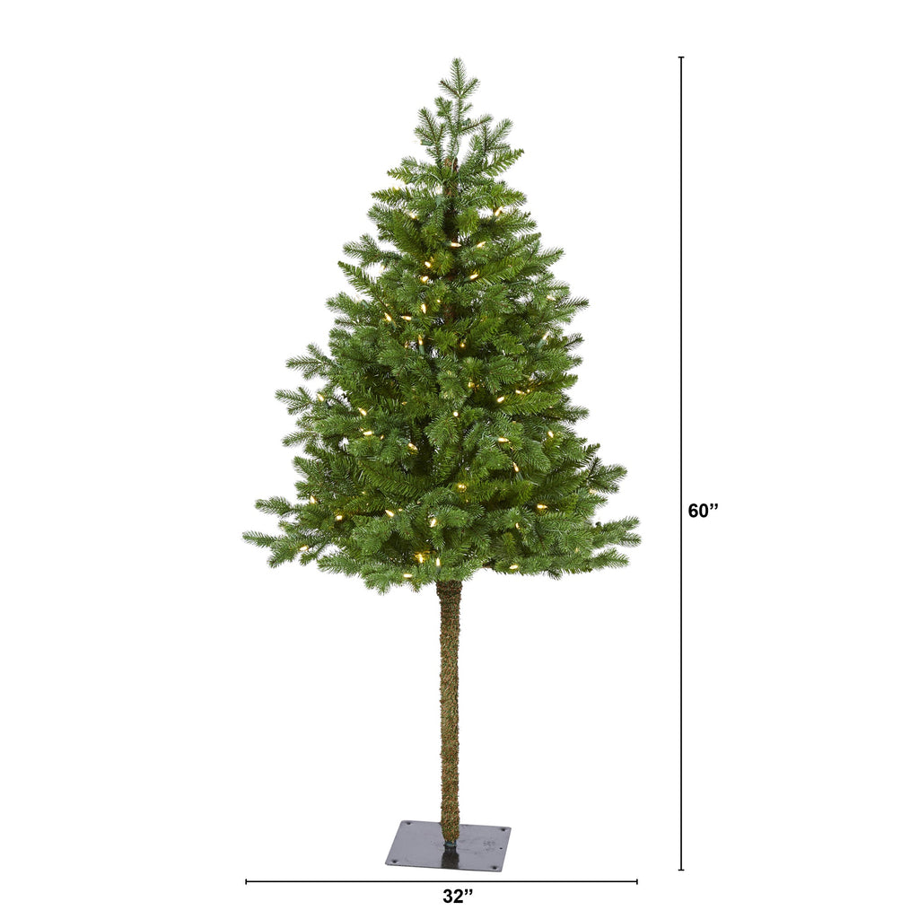 5' Swiss Alpine Artificial Christmas Tree with 150 Clear LED Lights