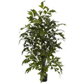 4.5' Fishtail Palm Silk Tree