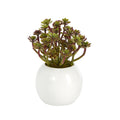 7" Sedum Succulent Artificial Plant in White Planter