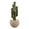 2.5' Cactus Artificial Plant in Bowl Planter