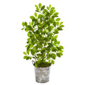37" Mini Ficus Artificial Tree in White Washed Vintage Metal Pail