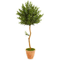 63" Olive Topiary Artificial Tree in Terra Cotta Planter UV Resistant